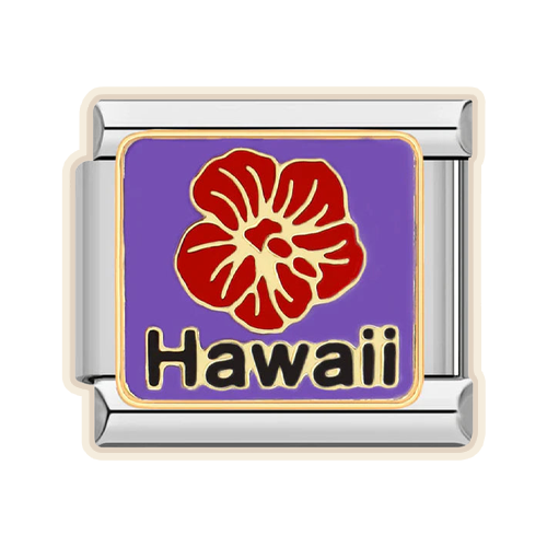 Hawaii Charm