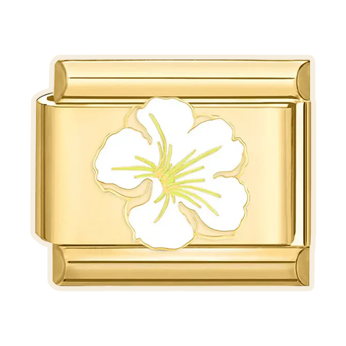 White Flower