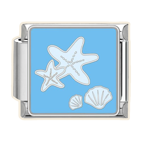 Seashells