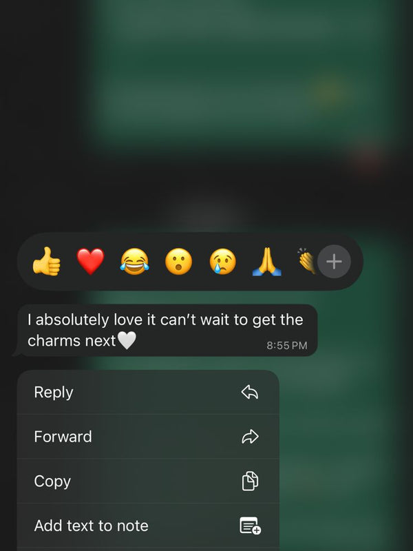 Customer Review