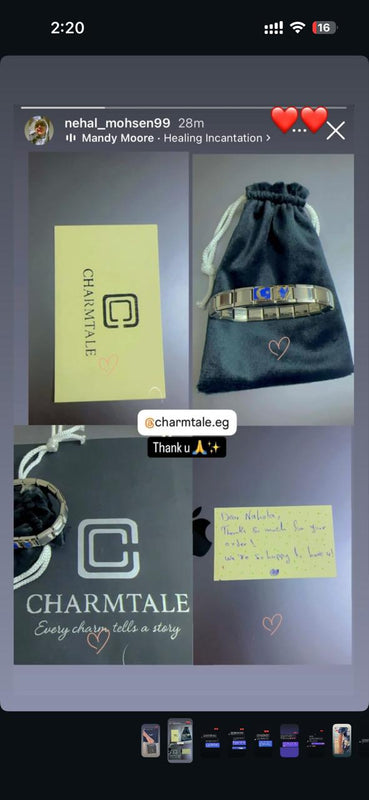 Customer Review